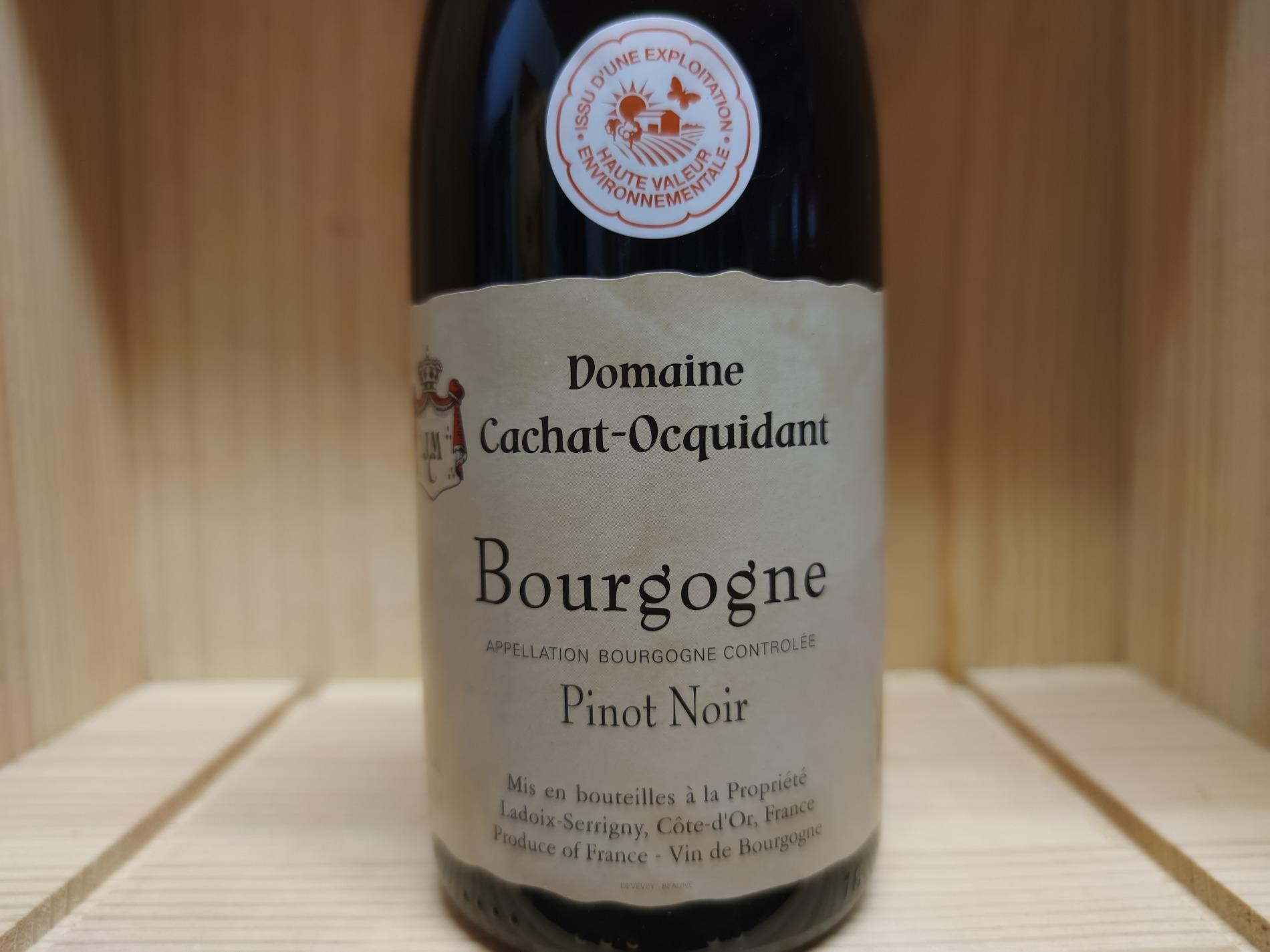 Bourgogne Pinot Noir 2024 - Domaine Cachat-Ocquidant
